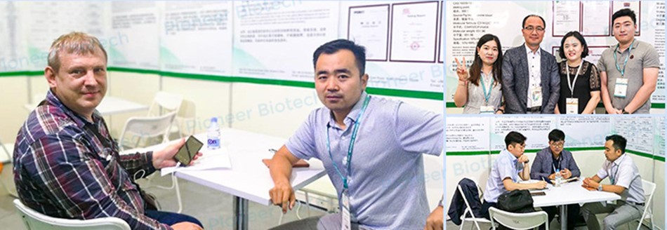 Exhibitions Exhibitions