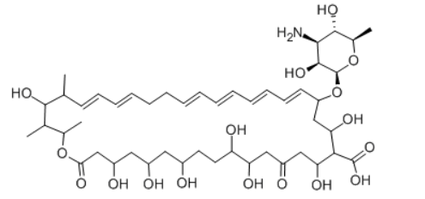 2025-11-19 144638 2025-11-19 144638