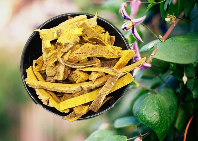 155459ba6f0f335c8ef4d